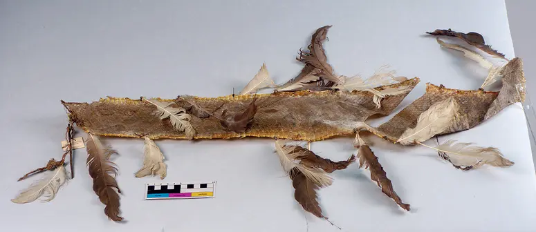 Arm ornament