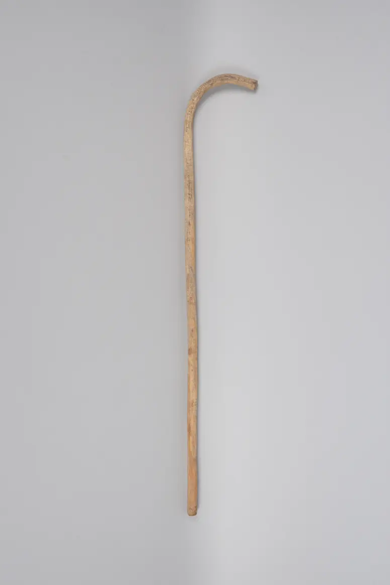 Spazierstock
