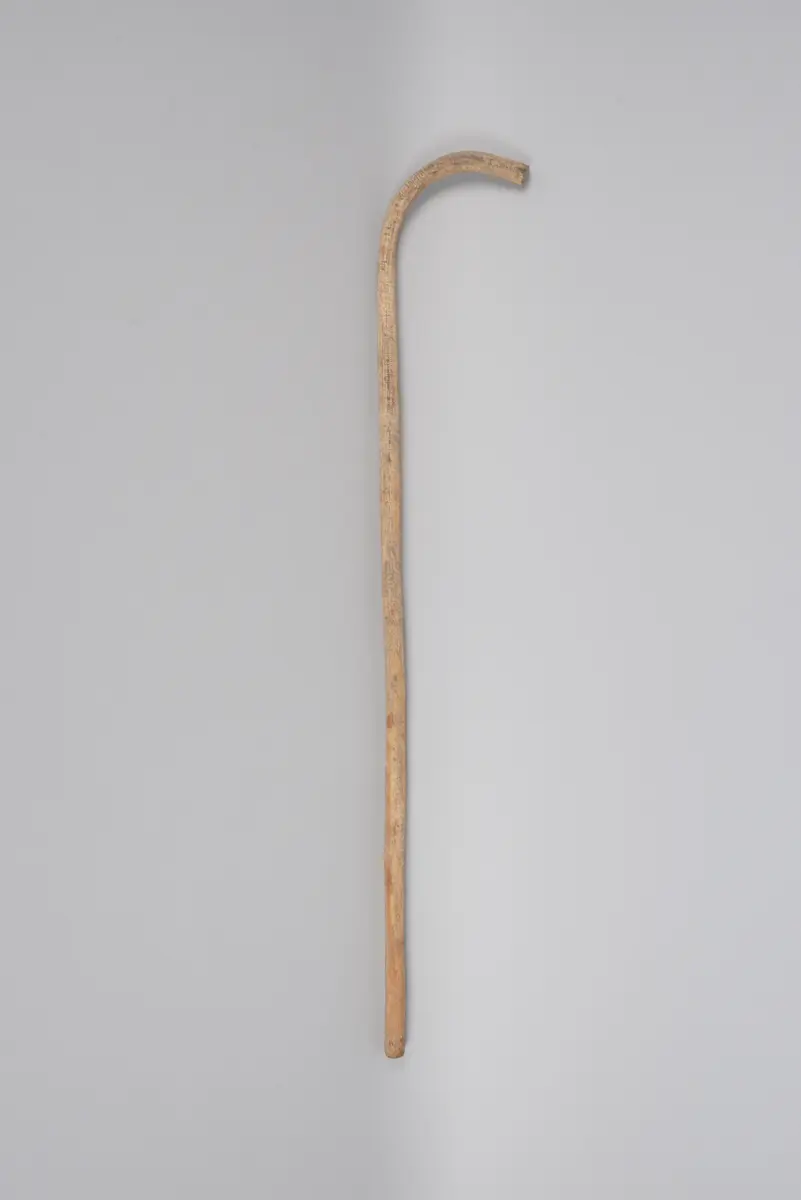 Spazierstock