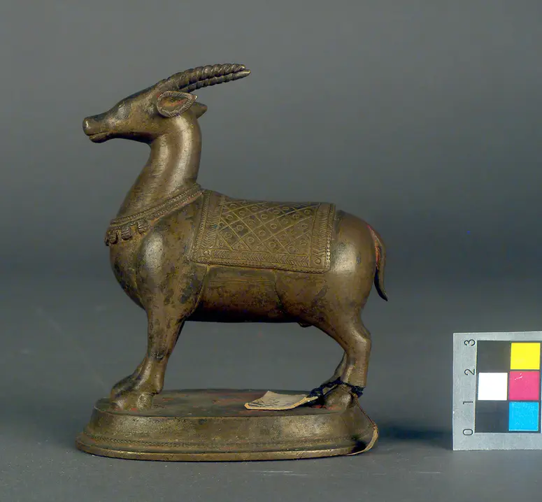 Antilope