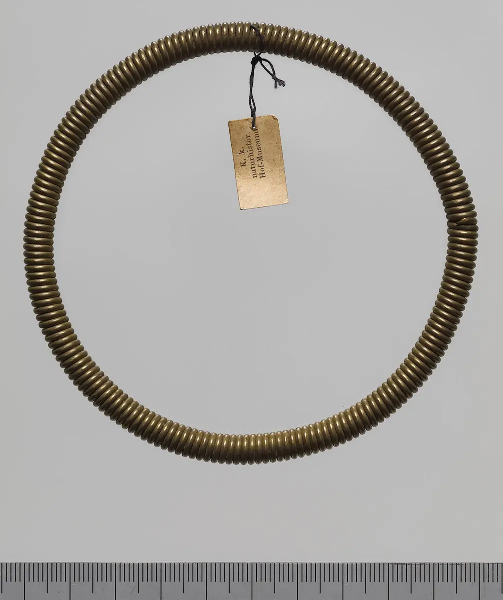 Beinring