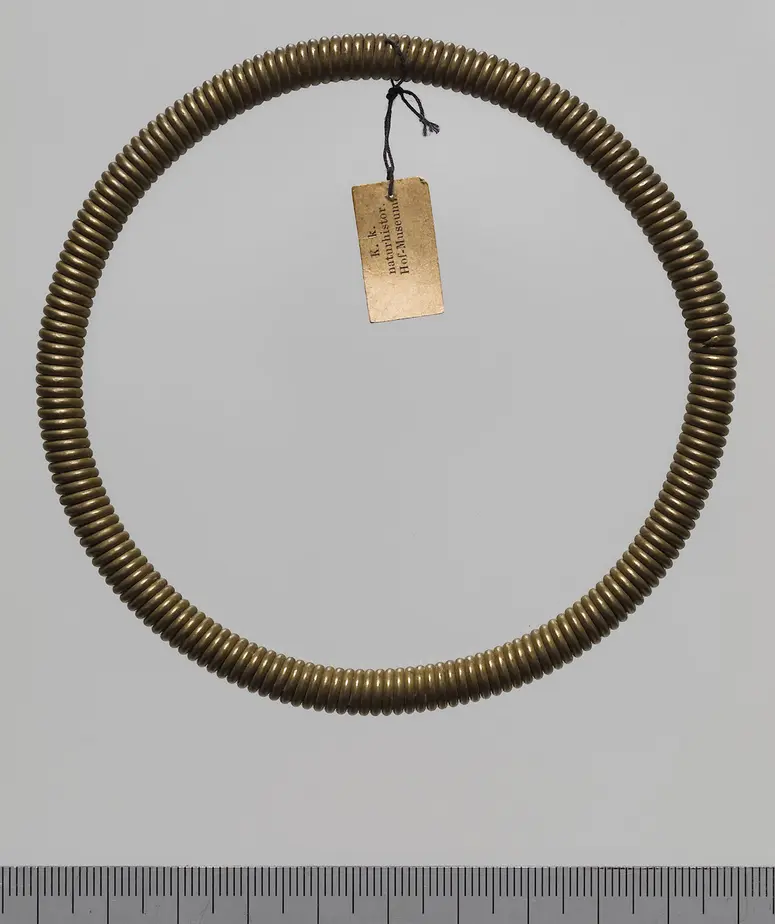 Beinring