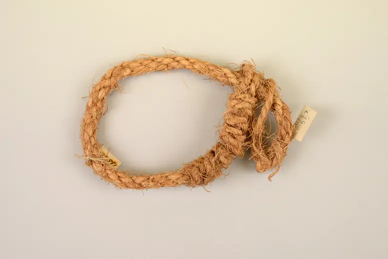 Cuff for Camels