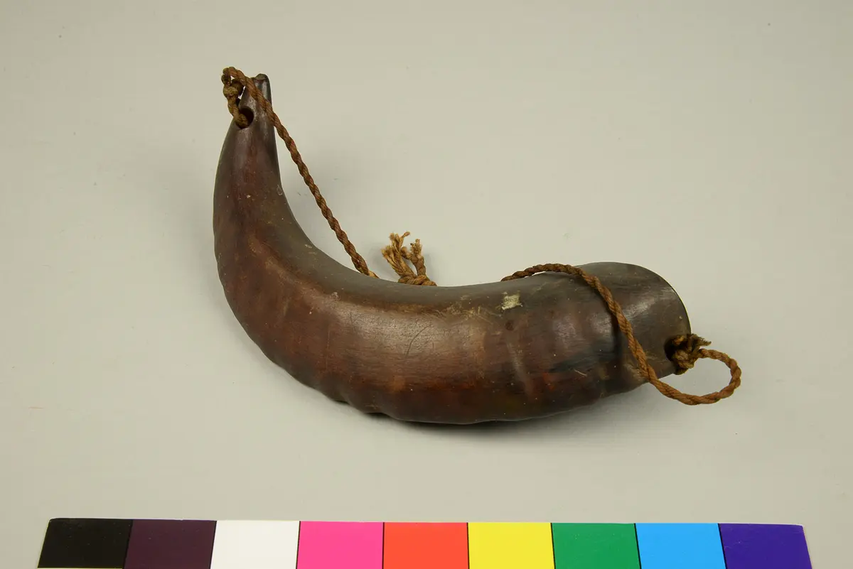 Horn