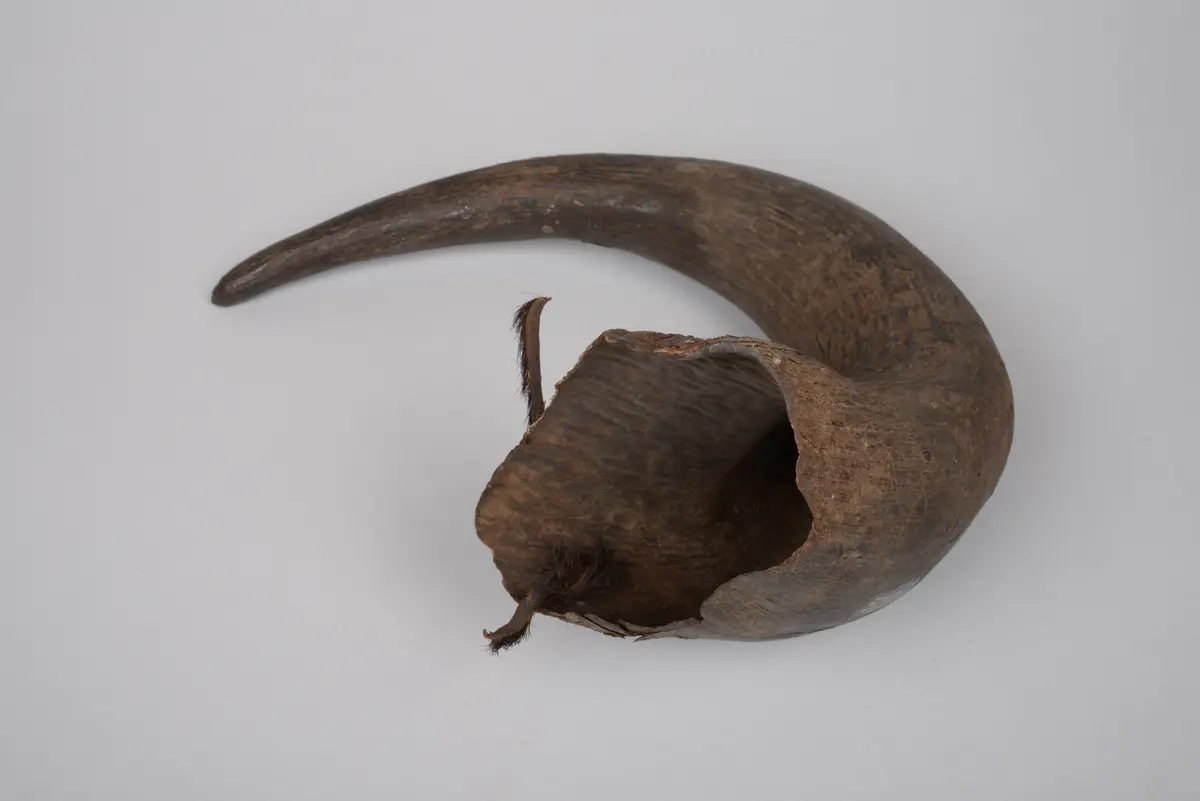 Medizin oder Amulett
