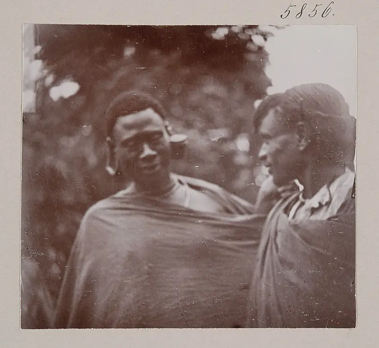 Moran von Aruscha tschini (Bantu)