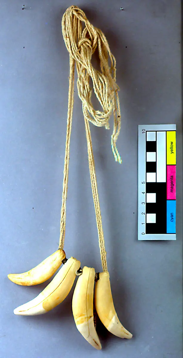 Necklace