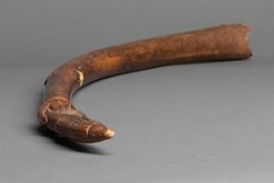 Elfenbeinblashorn