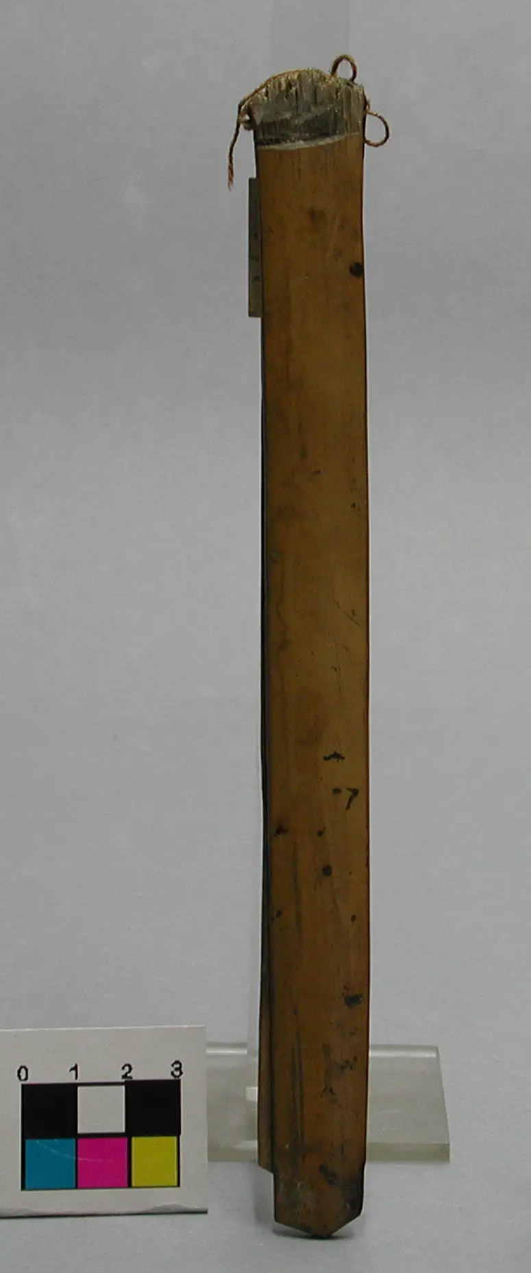 Bambuszange