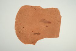 Materialprobe: Ausgerolltes Wachs