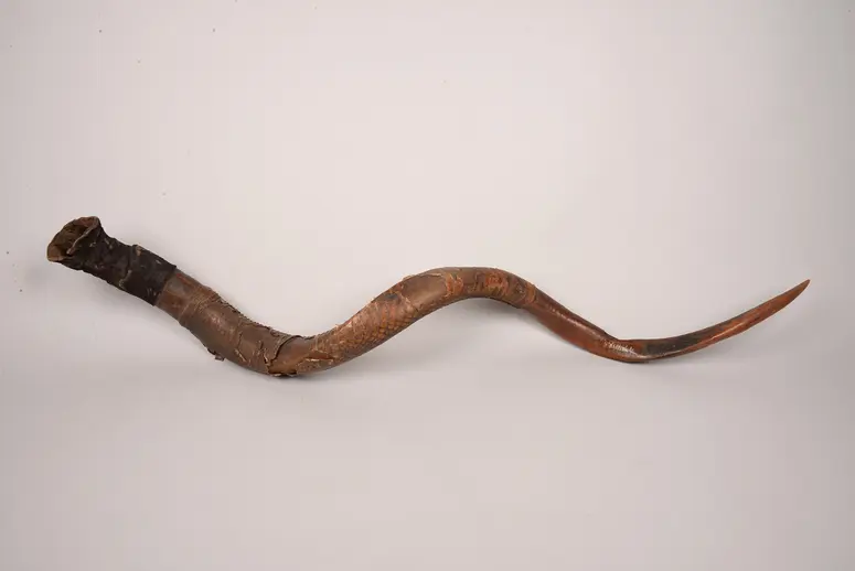 Signalhorn