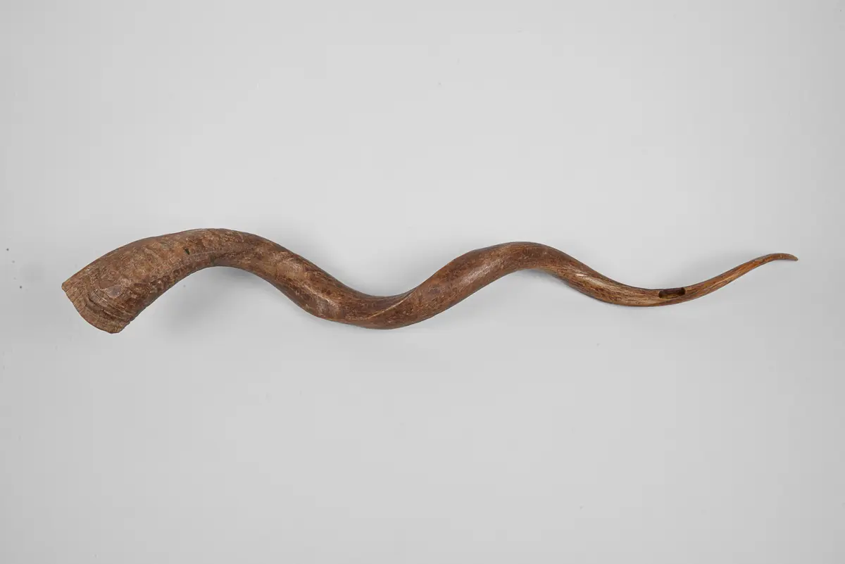 Horn