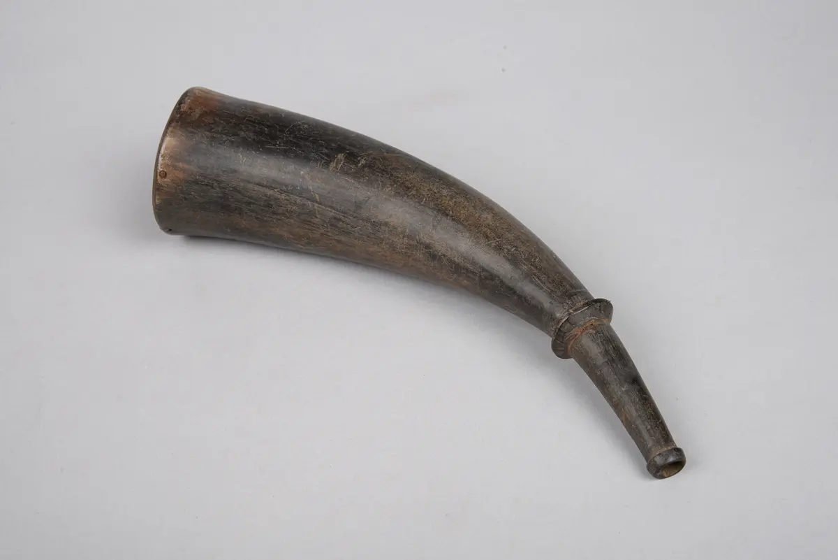 Horn