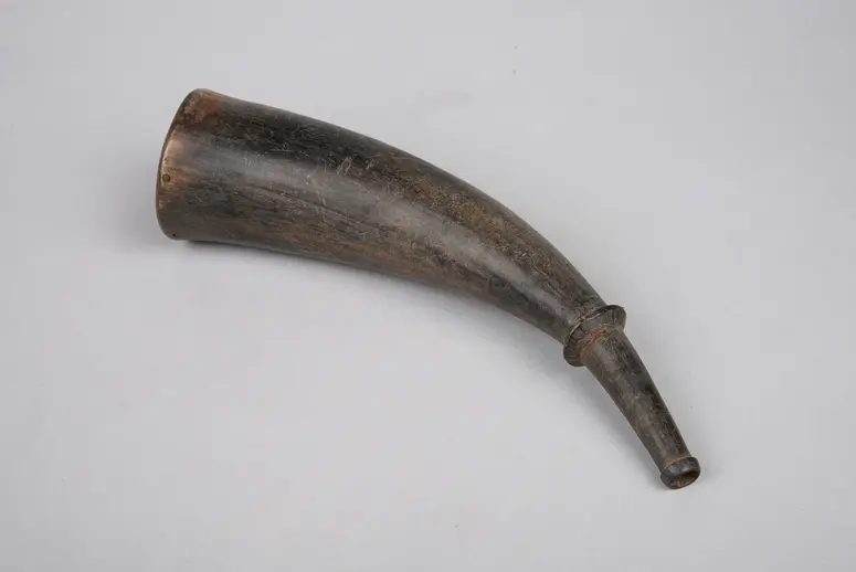 Horn