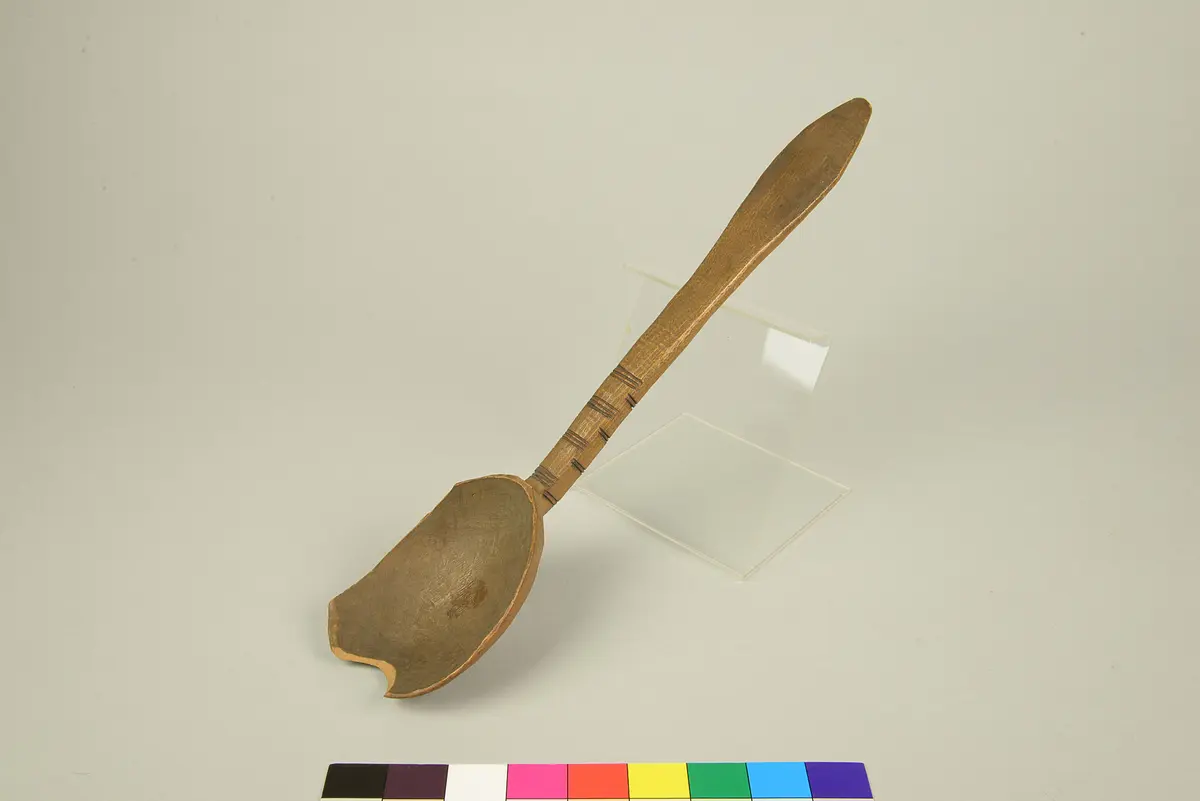 Rice spoon