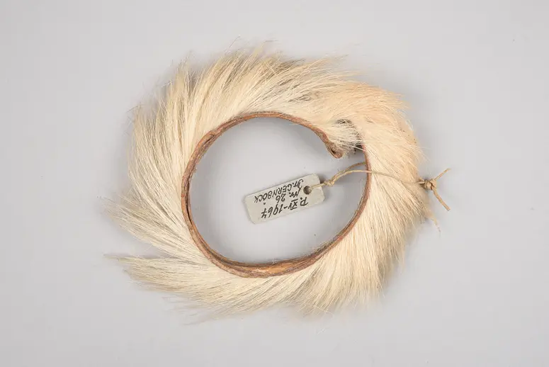 Schmuckband