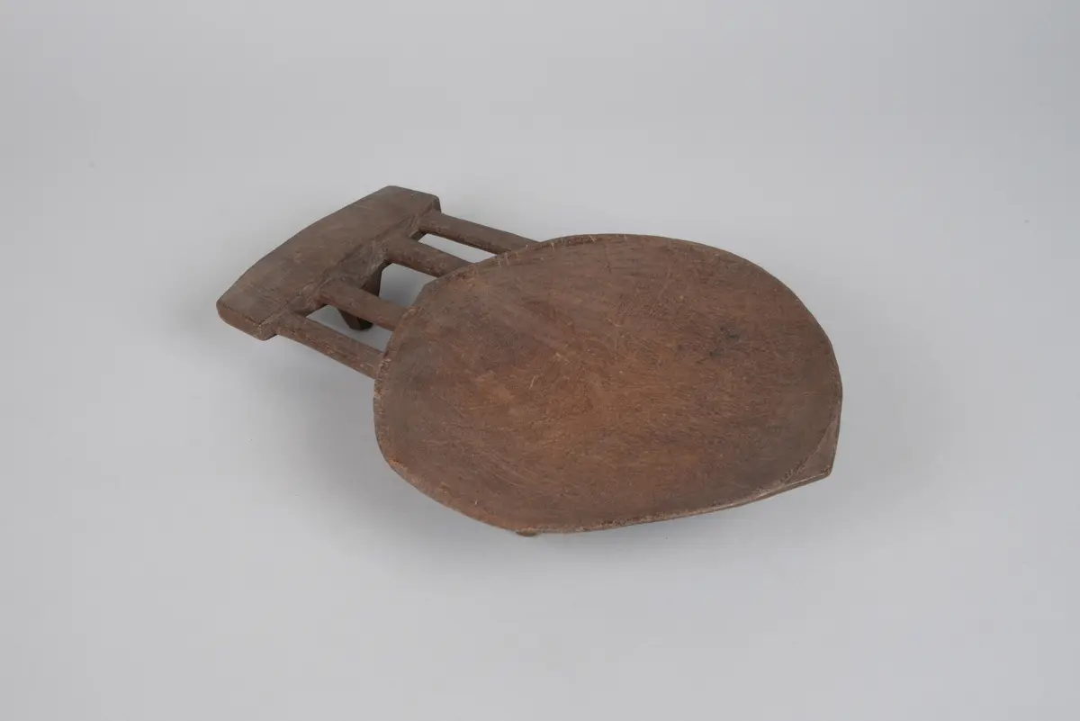 Dish