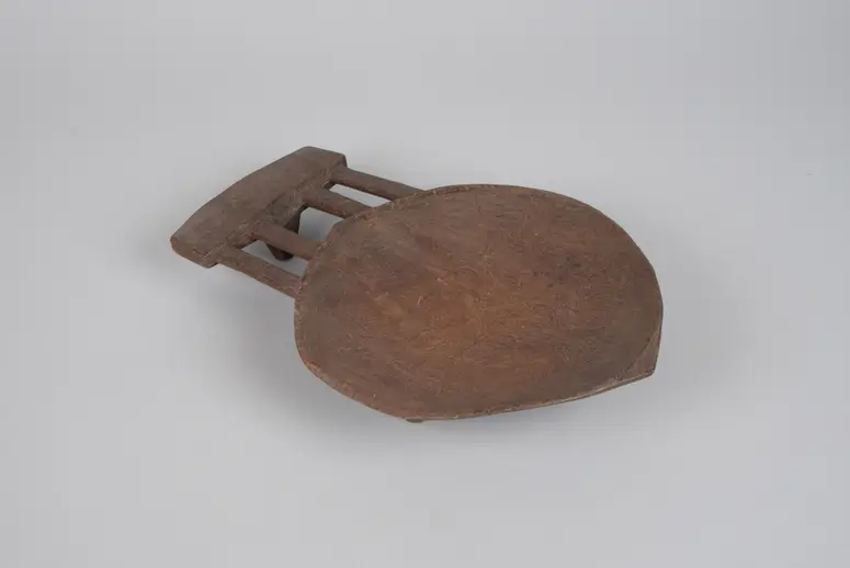 Dish