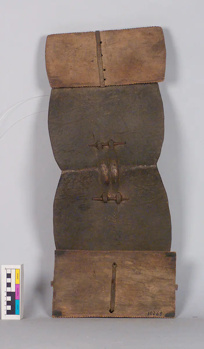 Shield