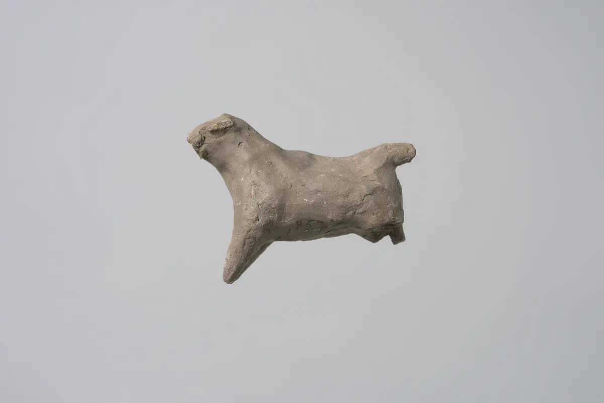 Lehmfigur: Wildschwein?