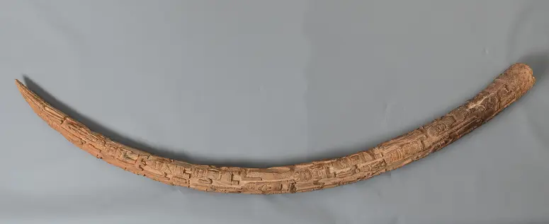 Elfenbeinzahn mit Reliefschnitzerei