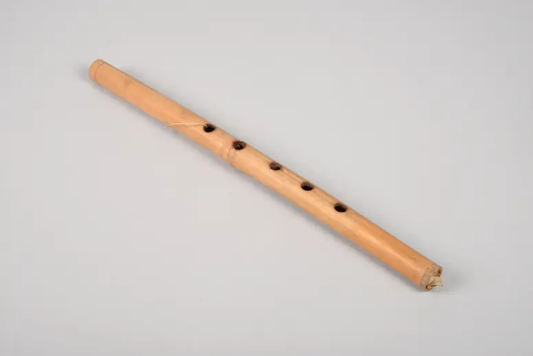 Instrument: Flute