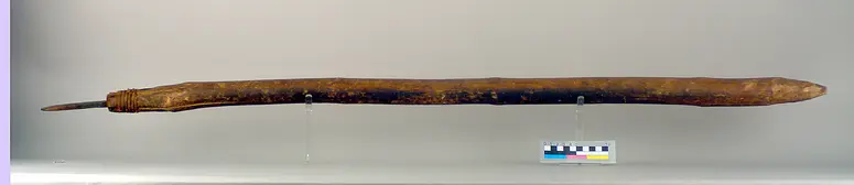 Digging stick