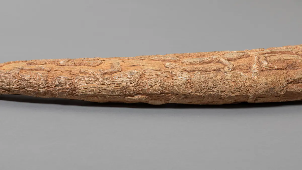 Ivory Tusk with Relief Carving