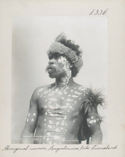 Aboriginal warrior, Boogoolmurra tribe, Queensland