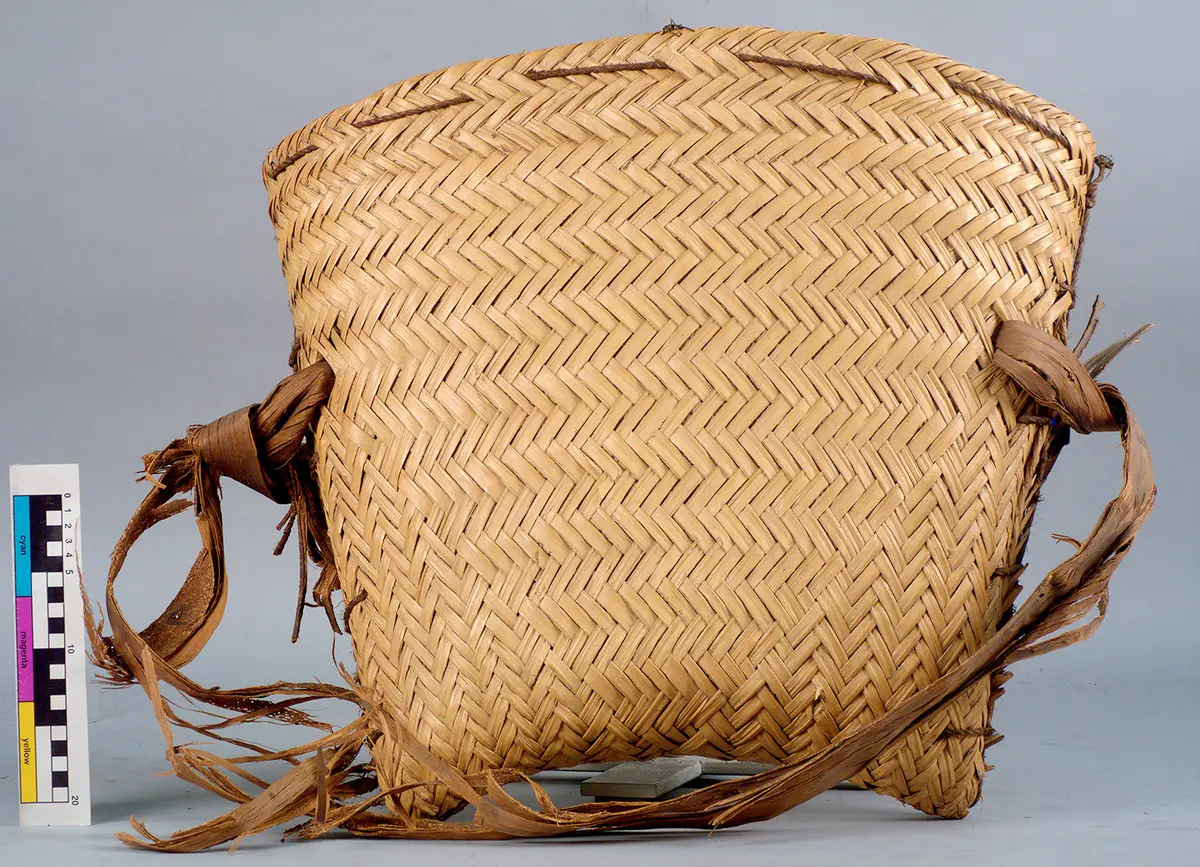 Carrying basket