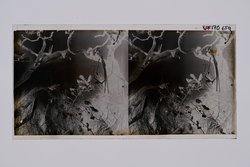 Stereofotografie, Negativ