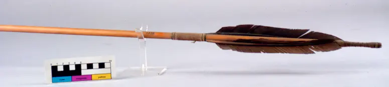Hunting arrow