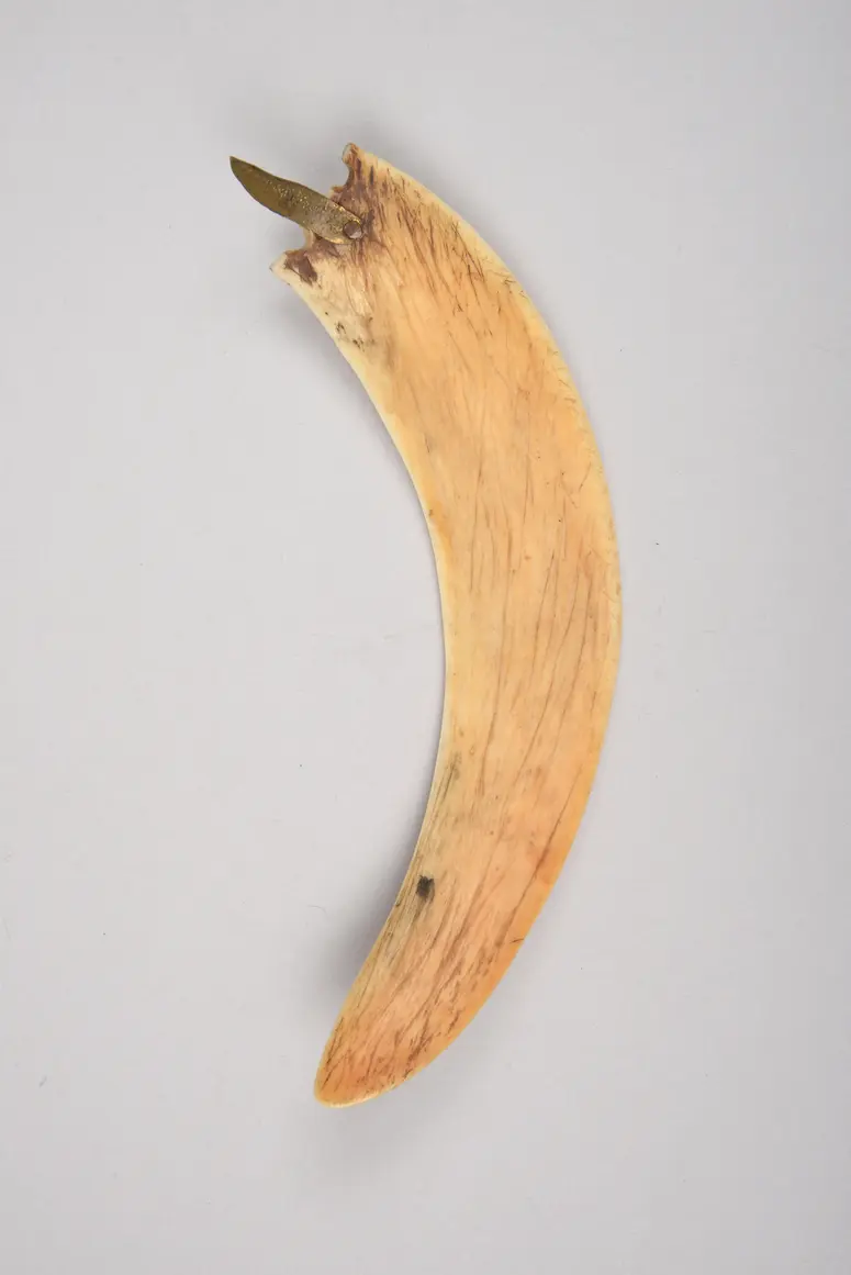 Kopfschmuck