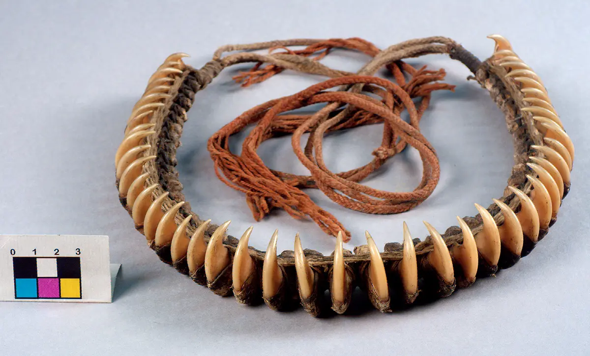 Forehead ornament