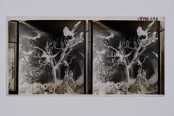 Stereofotografie, Negativ