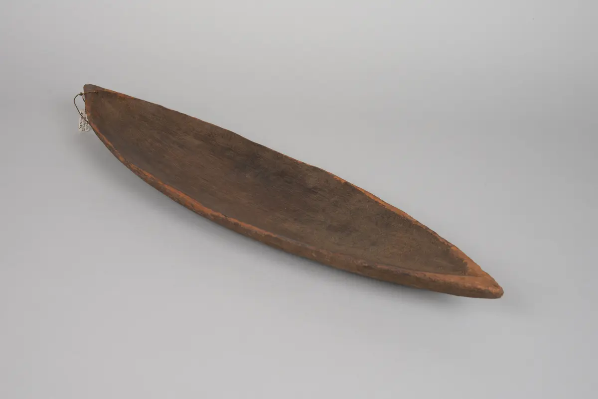 Dish