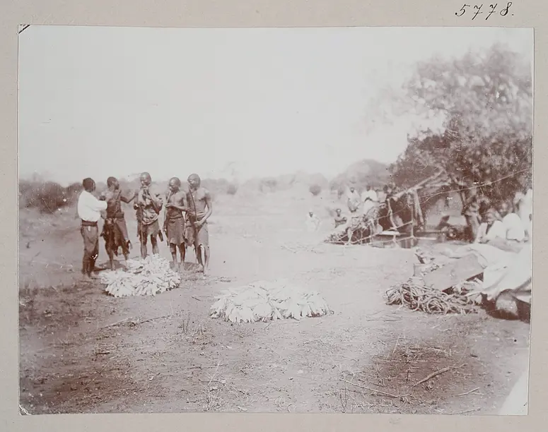 Wapare (Bantu) im Lager von Sekiko Pangani-Thal