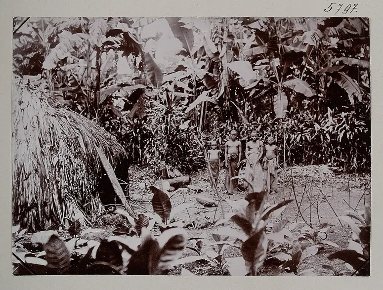 Waschagga im Bananenhaine (Kilimandscharo)