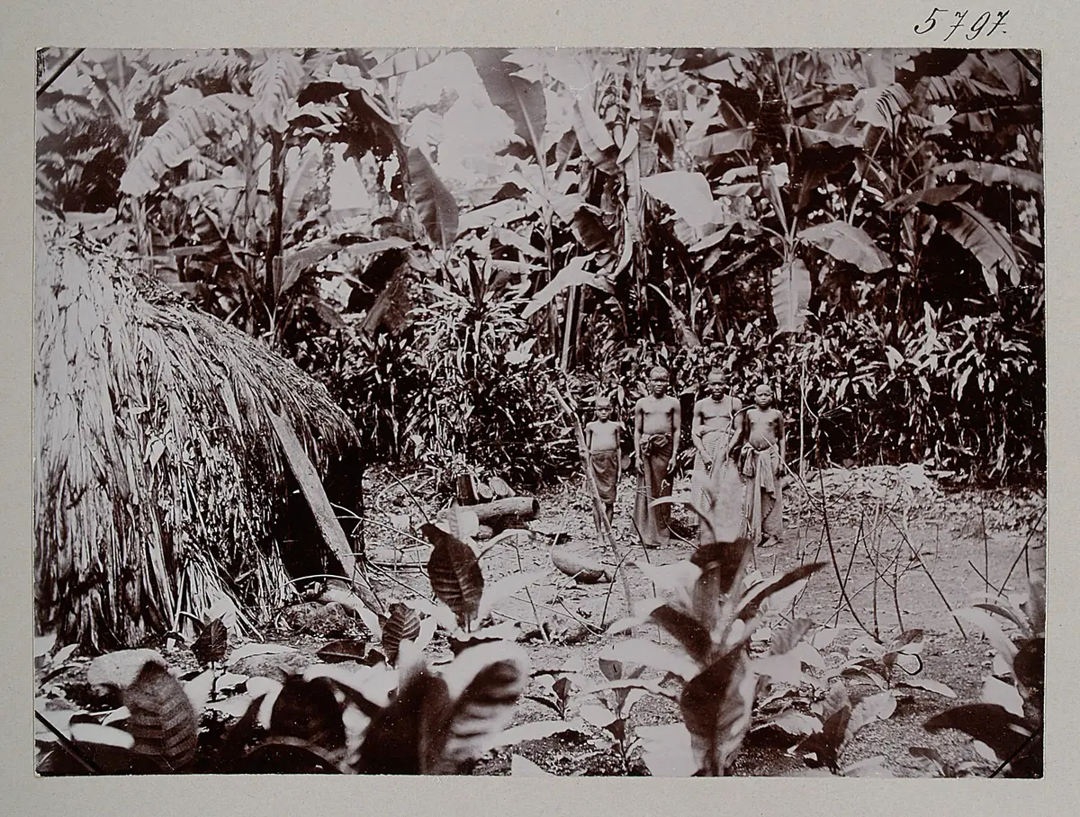 Waschagga im Bananenhaine (Kilimandscharo)