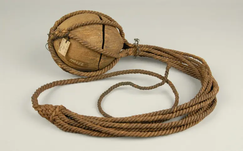Coconut with Carrying Net