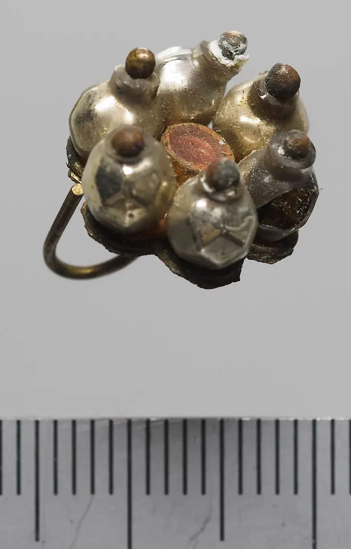 Nasenring