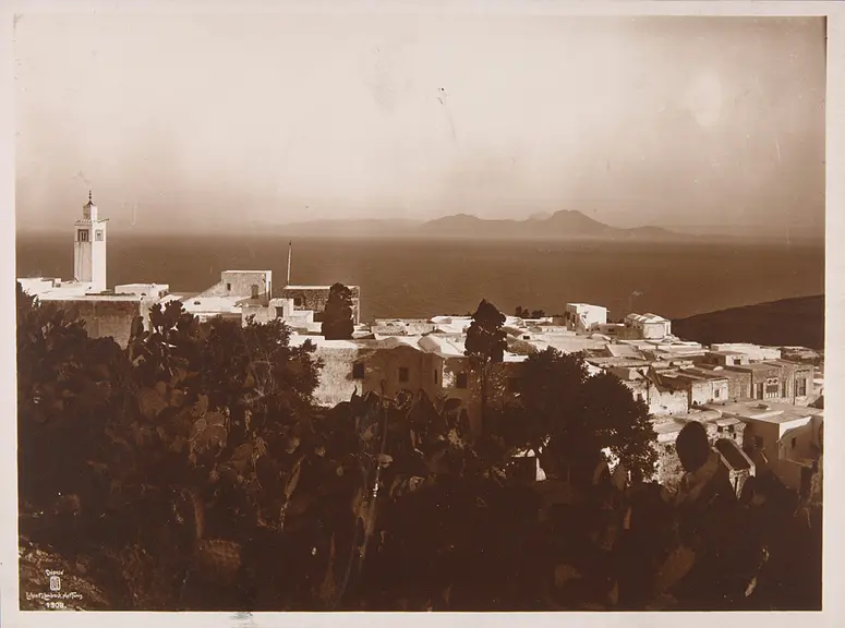 Stadtansicht von Tunis, mit Meerblick