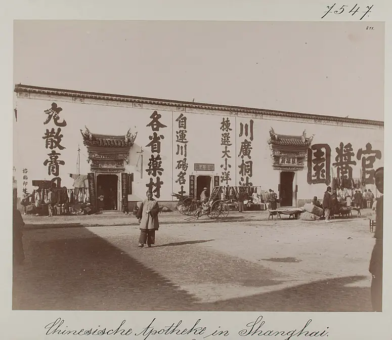 Shanghai: Chinesische Apotheke
