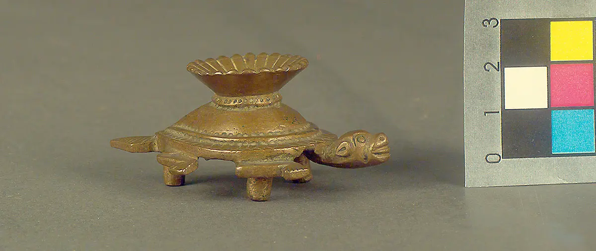 Schildkröte
