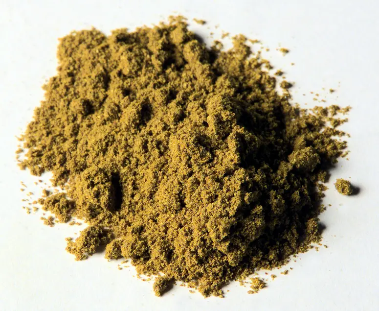 Currypulver