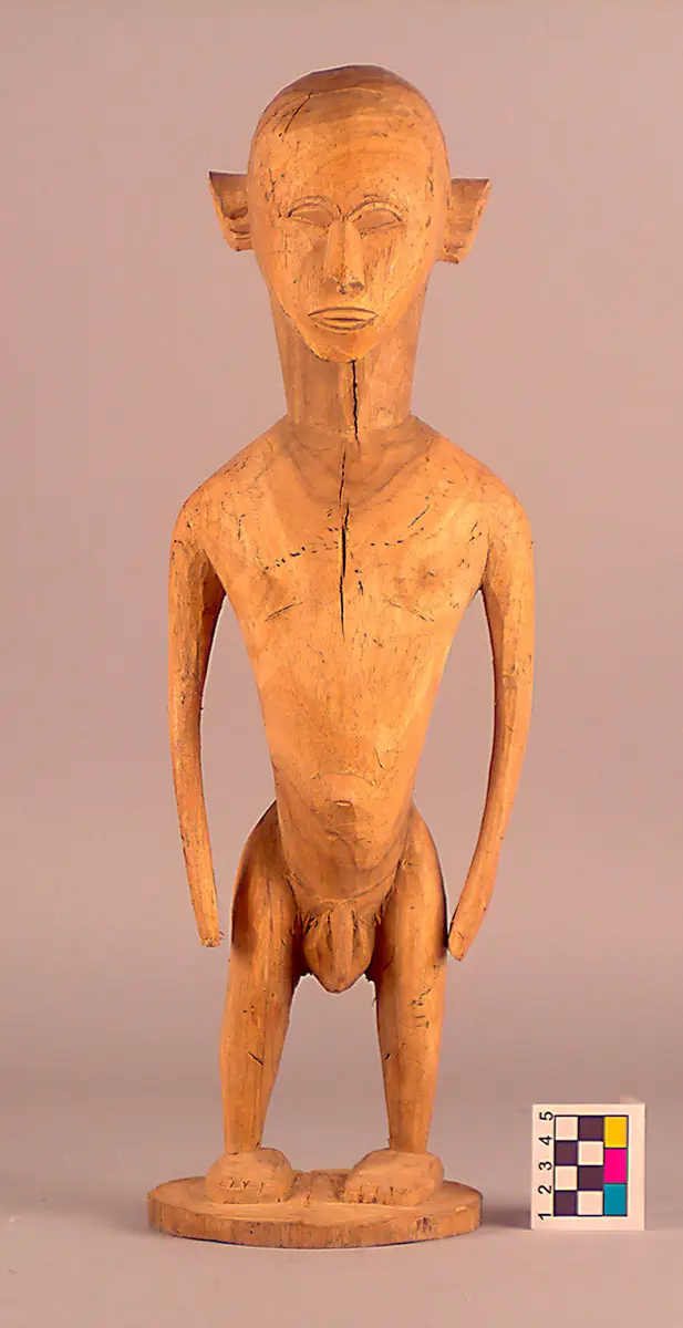Male Figure