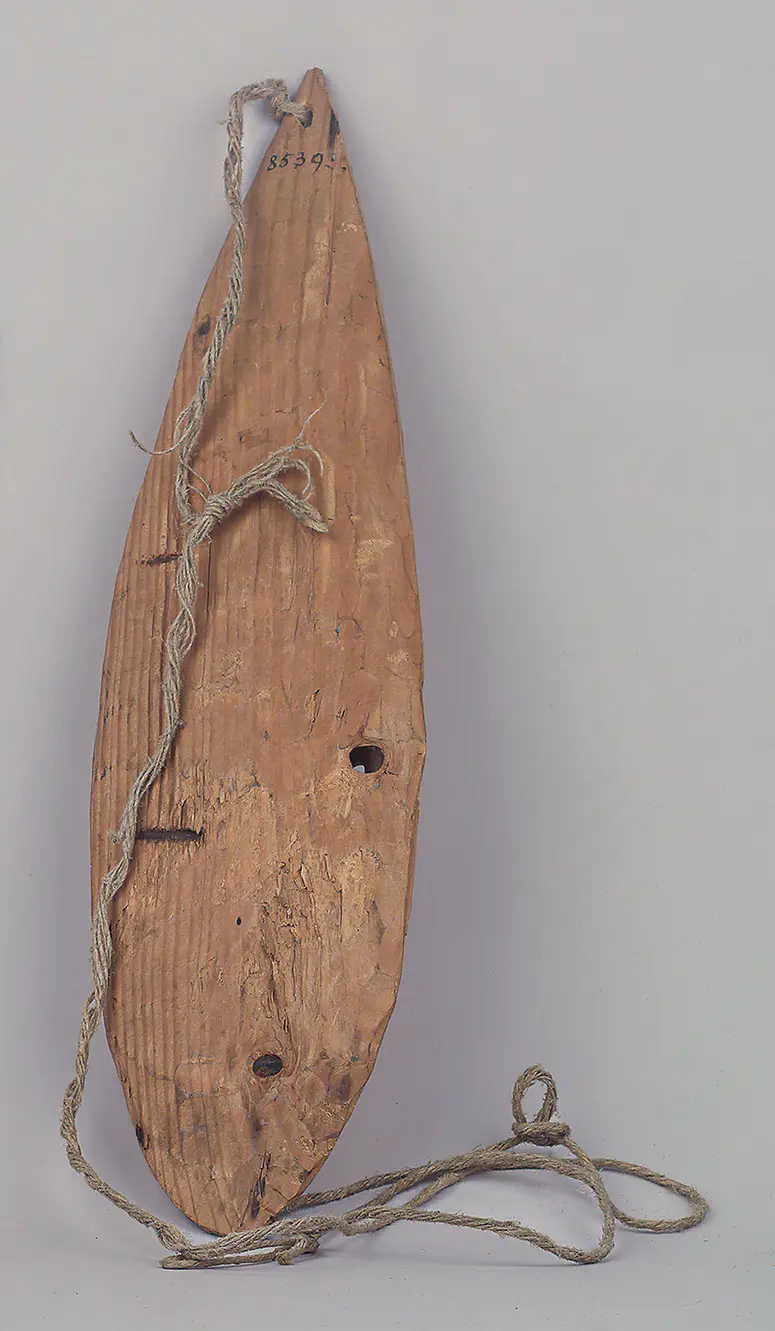 Thunder Stick/ Medicine