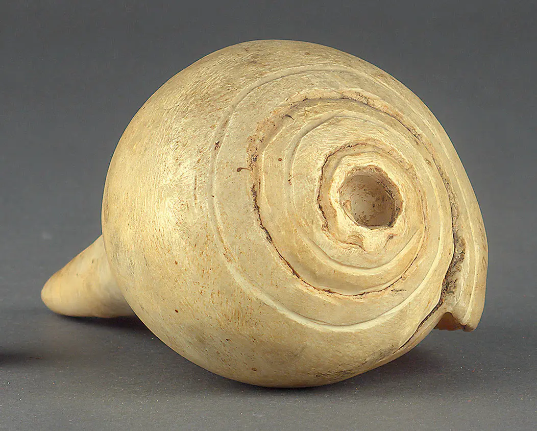 Schneckentrompete (Tib. dung kar)