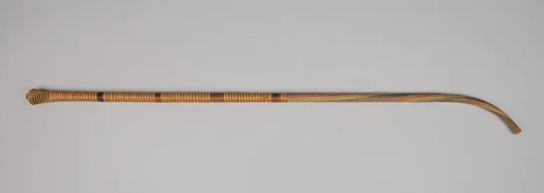 Saugrohr
