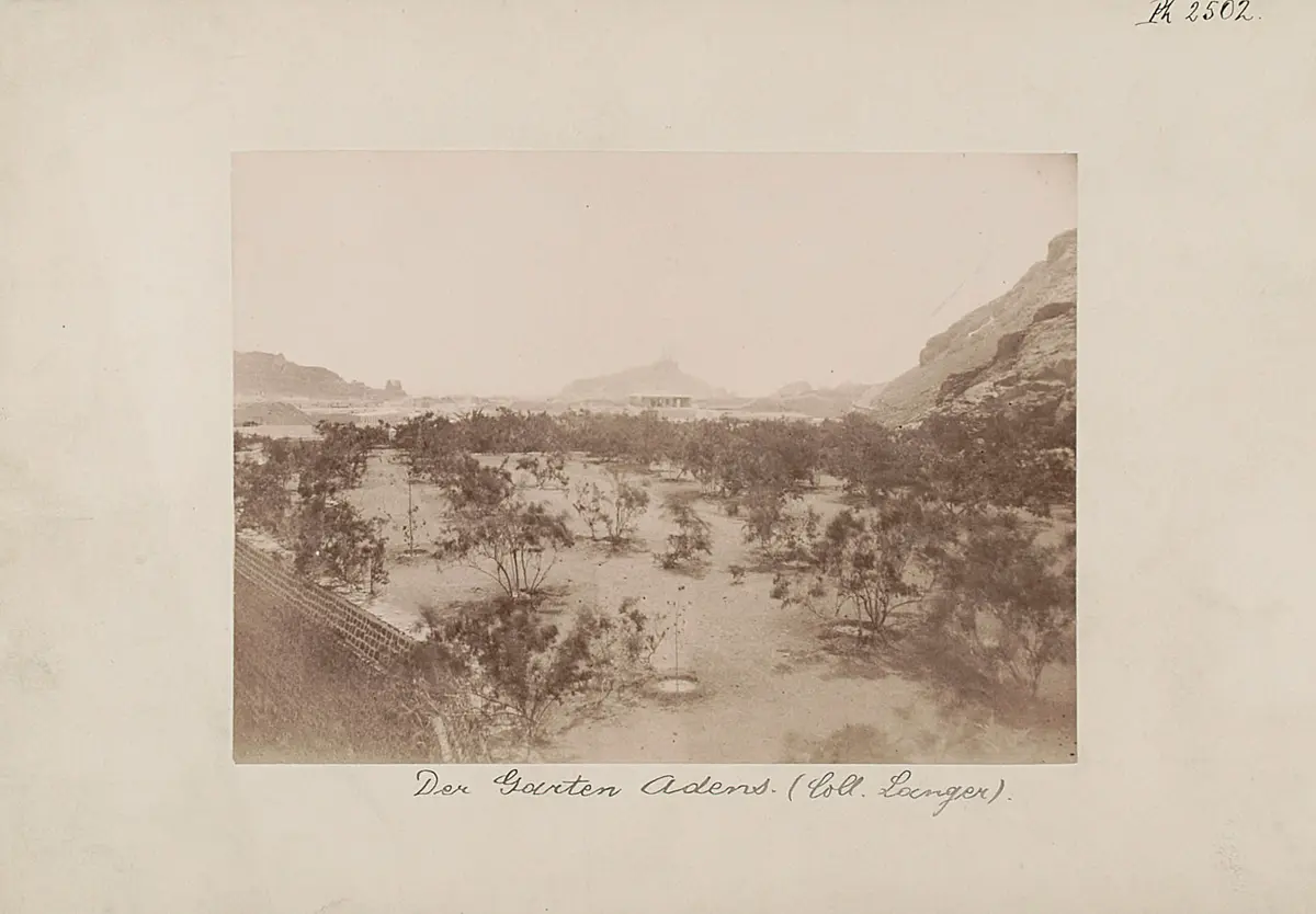 “The Garden of Aden”
